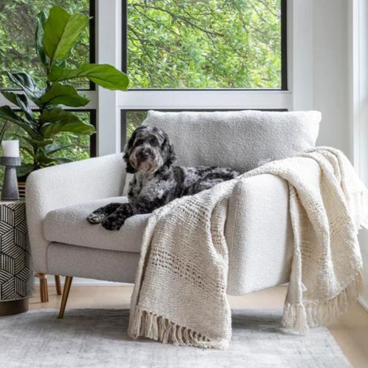 Boucle Armchair