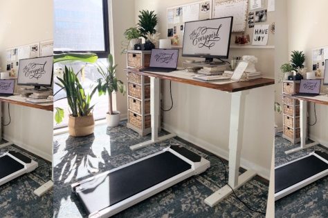 flexispot