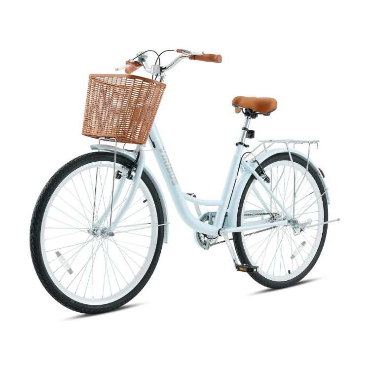 Beach Cruiser Bike